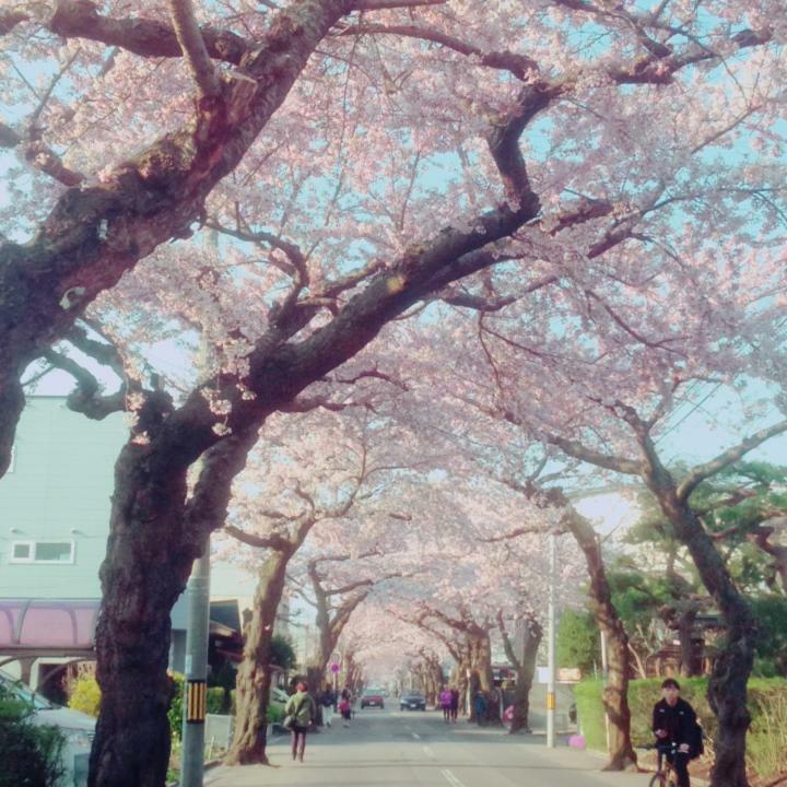 Stay Akeboshi Kan Hakodate Exteriér fotografie